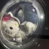 (Category: ) located in . Submitted by wxoxo_.jpg (Listing ID 1360491278, Image 1). Description: .
