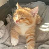 (Category: ) located in . Submitted by basick (Listing ID 1374889083, Image 1). Description: .