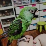 (Category: ) located in . Submitted by 3900charlie (Listing ID 1239095724, Image 1). Description: .