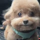 （分類：）位於 。 由 gggajjk 提交（商品編號 1379485569，圖片 1）。簡介： 。