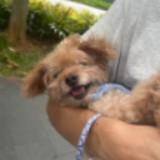 (Category: ) located in . Submitted by mp88888 (Listing ID 1363418987, Image 1). Description: .