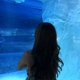 (Category: ) located in . Submitted by its.celeste (Listing ID 1358948034, Image 1). Description: .