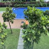 (Category: ) located in . Submitted by tommfollow (Listing ID 1375239822, Image 1). Description: .