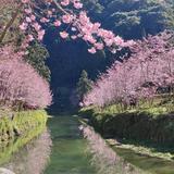 由 love8966tw (刊登 ID 1342007776，圖片 1) 提交，位於 的 (類別：)，說明：。