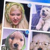 由 peggy0304009791 (刊登 ID 1385203685，圖片 1) 提交，位於 的 (類別：)，說明：。