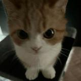 (Category: ) located in . Submitted by twooklen (Listing ID 1344792400, Image 1). Description: .