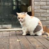 (Category: ) located in . Submitted by yyee_ (Listing ID 1368670301, Image 1). Description: .