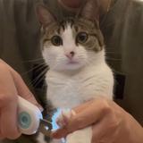 (Category: ) located in . Submitted by viiick (Listing ID 1343476476, Image 1). Description: .