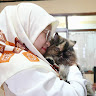 (Kategori: ) berada di . Dikirim oleh mustikawd (ID iklan 1382835415, Gambar 1). Deskripsi: .