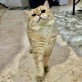 (Kategori: ) berada di . Dikirim oleh irsyamryan23564 (ID iklan 1343191898, Gambar 1). Deskripsi: .