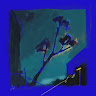 (Category: ) located in . Submitted by kirler (Listing ID 1470422100, Image 1). Description: .