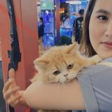 (Kategori: ) berada di . Dikirim oleh prelovedby.unai (ID iklan 1385698453, Gambar 1). Deskripsi: .
