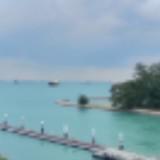 (Category: ) located in . Submitted by solarene (Listing ID 1343747762, Image 1). Description: .