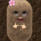 (Category: ) located in . Submitted by imnotbloop (Listing ID 1462188606, Image 1). Description: .