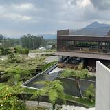 (Kategori: ) berada di . Dikirim oleh mitaayn (ID iklan 1380735581, Gambar 1). Deskripsi: .