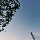 由 nayeon520 (刊登 ID 1385135073，圖片 1) 提交，位於 的 (類別：)，說明：。