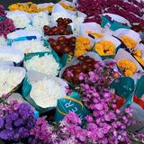 (Kategori: ) berada di . Dikirim oleh sweety.piey (ID iklan 1386453391, Gambar 1). Deskripsi: .