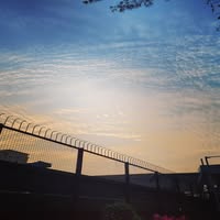 (分類:)位於 。 由 felixwong.1677 提交(商品編號 1461765059,圖片 1)。簡介: 。