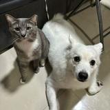 (Category: ) located in . Submitted by cksqklr (Listing ID 1425013607, Image 1). Description: .