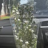 (Kategori: ) berada di . Dikirim oleh adoreshi (ID iklan 1350384639, Gambar 1). Deskripsi: .