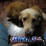 (Category: ) located in . Submitted by renrenrenraine (Listing ID 1375545072, Image 1). Description: .