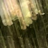 (Category: ) located in . Submitted by junlopee (Listing ID 1427360237, Image 1). Description: .