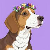 (Kategori: ) berada di . Dikirim oleh obetthebeagle (ID iklan 1292494800, Gambar 1). Deskripsi: .