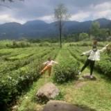 (Kategori: ) berada di . Dikirim oleh yulifirdau77795 (ID iklan 1351223541, Gambar 1). Deskripsi: .