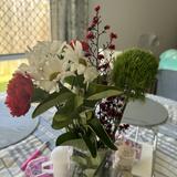 (Category: ) located in . Submitted by iloveplants2012 (Listing ID 1386442548, Image 1). Description: .