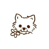 (Category: ) located in . Submitted by puppylove.flowers (Listing ID 1346265838, Image 1). Description: .