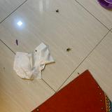 (Category: ) located in . Submitted by sigmabo (Listing ID 1380077710, Image 1). Description: .