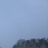 （分類：）位於 。 由 hercretary 提交（商品編號 1251158310，圖片 1）。簡介： 。