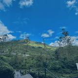 (Category: ) located in . Submitted by totcang (Listing ID 1447552234, Image 1). Description: .