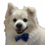 (Category: ) located in . Submitted by kumbin (Listing ID 1353708608, Image 1). Description: .