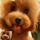 (分類:)位於 。 由 ngheisuen58642 提交(商品編號 1367076021,圖片 1)。簡介: 。