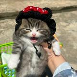(Kategori: ) berada di . Dikirim oleh padanumpuk (ID iklan 1373382847, Gambar 1). Deskripsi: .