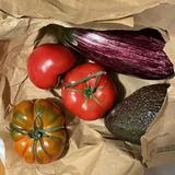 (Category: ) located in . Submitted by philodendron.5 (Listing ID 1365841463, Image 1). Description: .