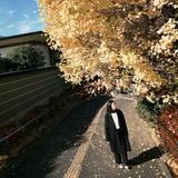 由 simplelife173 (刊登 ID 1366700890，圖片 1) 提交，位於 的 (類別：)，說明：。