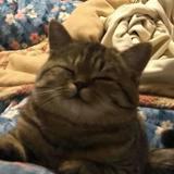 (Category: ) located in . Submitted by cookiee12.2 (Listing ID 1385034723, Image 1). Description: .