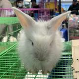 (Kategori: ) berada di . Dikirim oleh maucaripreloved (ID iklan 1345870744, Gambar 1). Deskripsi: .