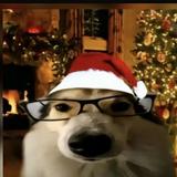(Category: ) located in . Submitted by daily_tf (Listing ID 1375292649, Image 1). Description: .
