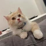 (Category: ) located in . Submitted by huihui_0 (Listing ID 1349503655, Image 1). Description: .