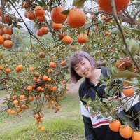 由 je1217j17039 (刊登 ID 1381907867，圖片 1) 提交，位於 的 (類別：)，說明：。