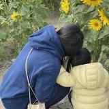 由 yutwang (刊登 ID 1384383183，圖片 1) 提交，位於 的 (類別：)，說明：。