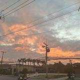(Category: ) located in . Submitted by eggy._jelly3 (Listing ID 1424273071, Image 1). Description: .