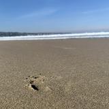 (Category: ) located in . Submitted by xm24467 (Listing ID 1385238945, Image 1). Description: .