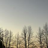 (Category: ) located in . Submitted by haiash (Listing ID 1375589882, Image 1). Description: .