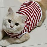 (Kategori: ) berada di . Dikirim oleh sabrinadilaa (ID iklan 1374660271, Gambar 1). Deskripsi: .