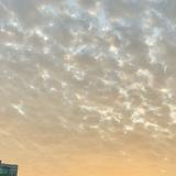 由 yunununun (刊登 ID 1384216992，圖片 1) 提交，位於 的 (類別：)，說明：。