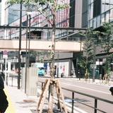 由 9992375 (刊登 ID 1332518055，圖片 1) 提交，位於 的 (類別：)，說明：。